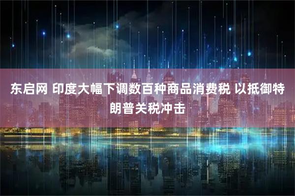 东启网 印度大幅下调数百种商品消费税 以抵御特朗普关税冲击